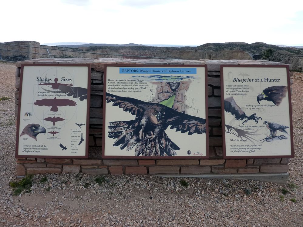 Big horn N.P_20.JPG